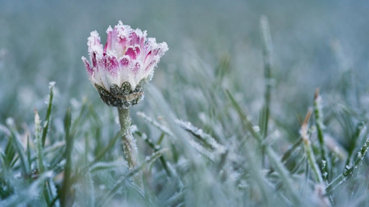 Сильный ветер и заморозки - погода на 3 дня