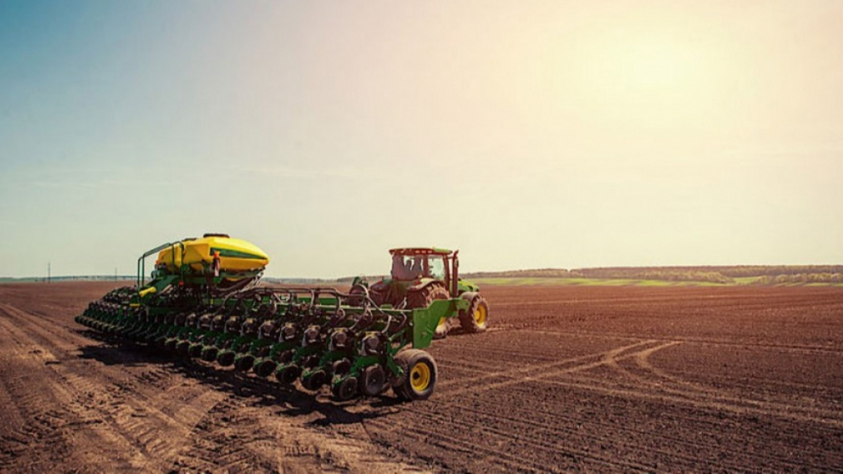 В области посеяли более 70% яровых зерновых