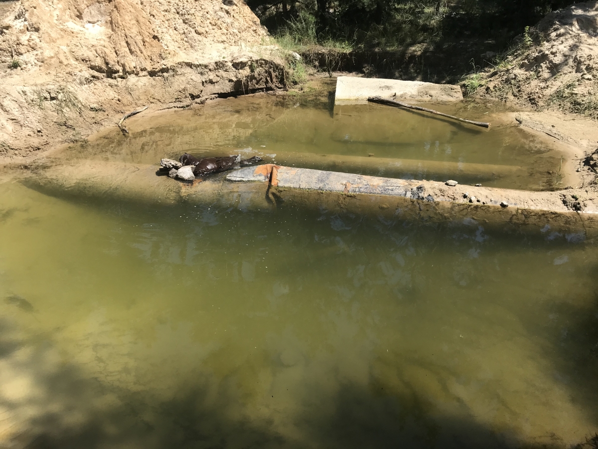 Терновка на несколько дней останется без воды 