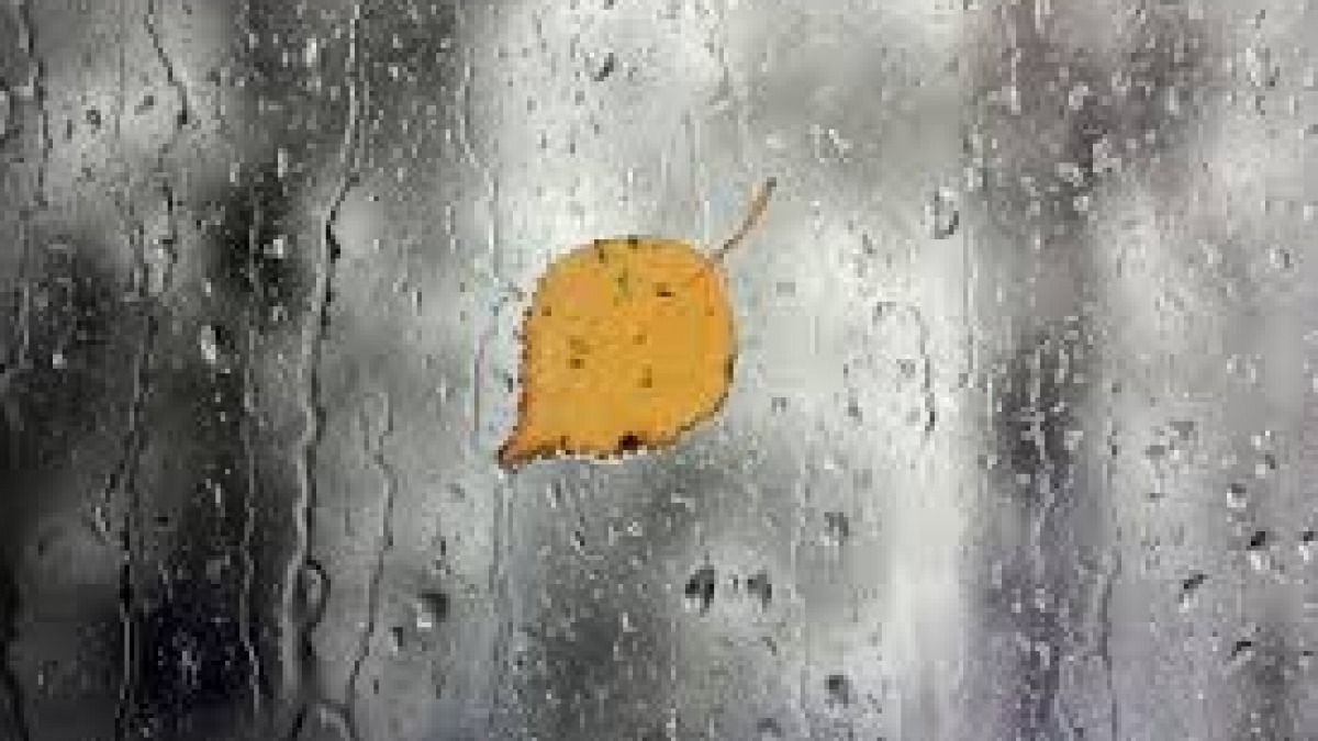 Украину сегодня накроют дожди