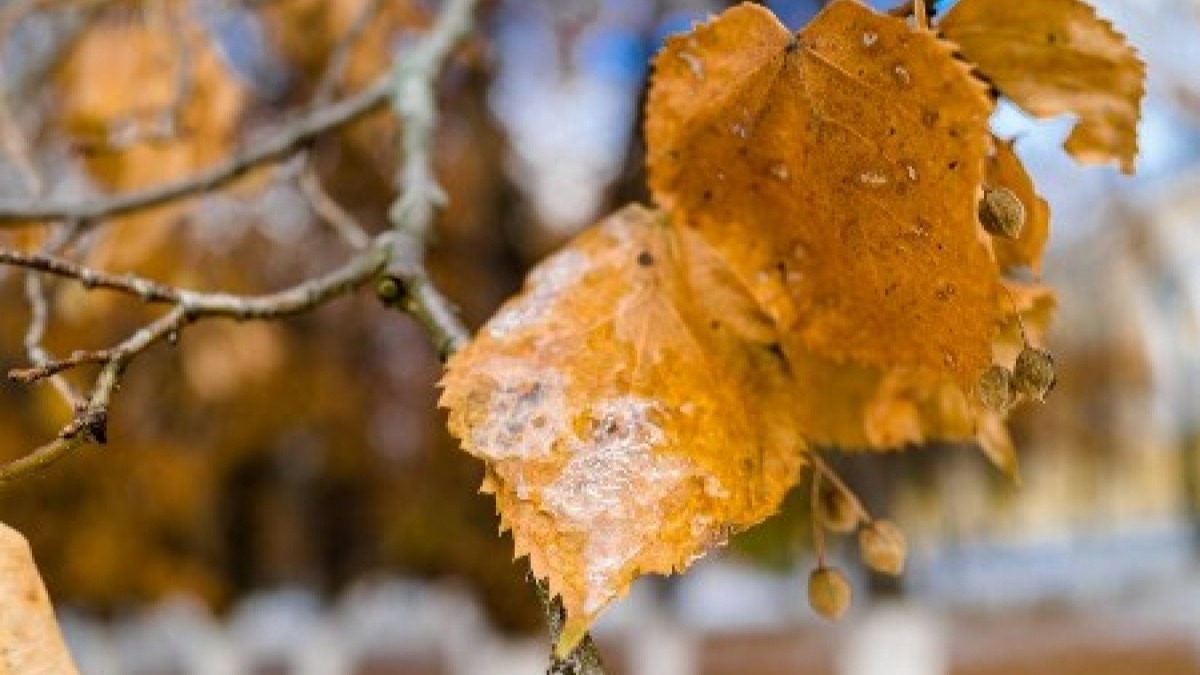 В Украине на выходных ожидают резкое понижение температуры