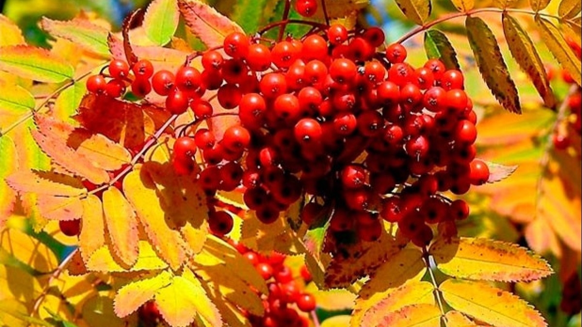 Какой сегодня праздник - приметы