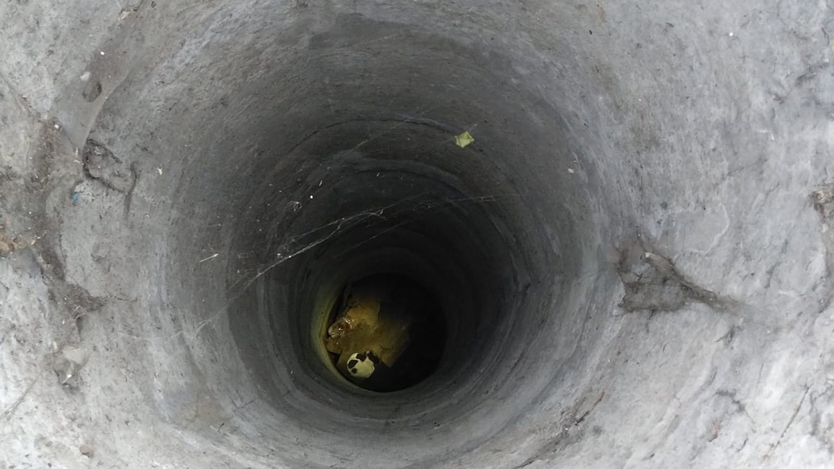 В Павлограде спасли щенка упавшего в 9 метровый колодец