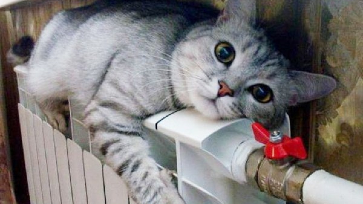 Павлоград опять может остаться без отопления из-за долгов  - Нафтогаз