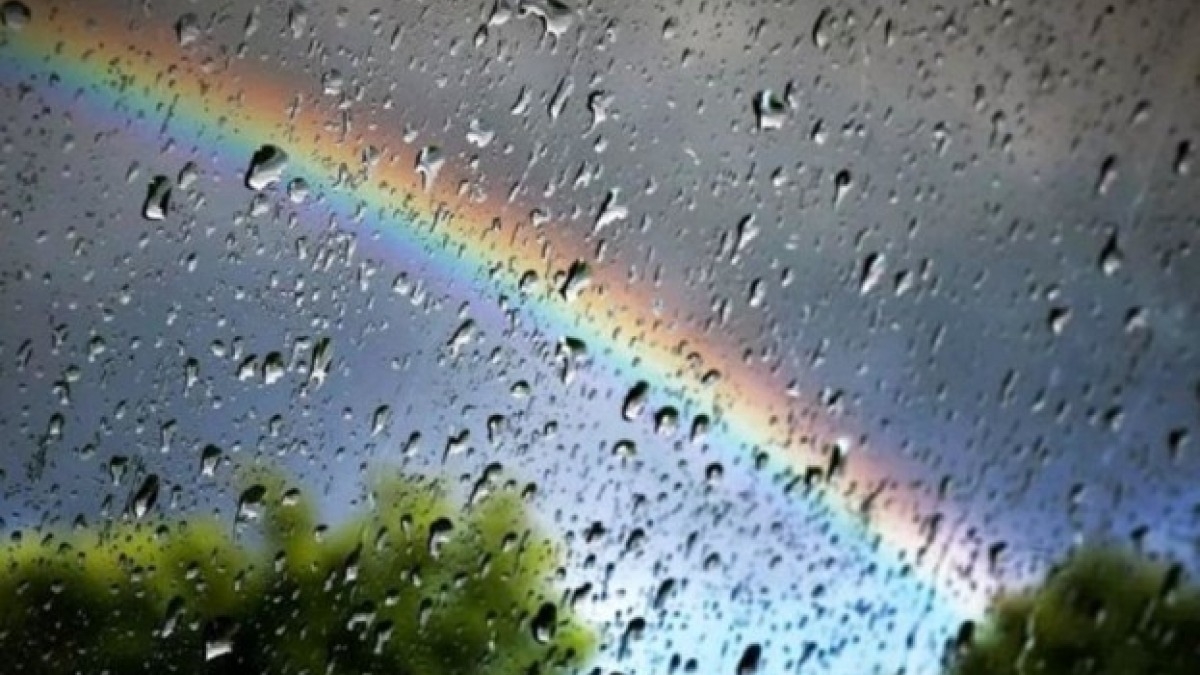 Дожди и понижение температуры ожидают в эти выходные