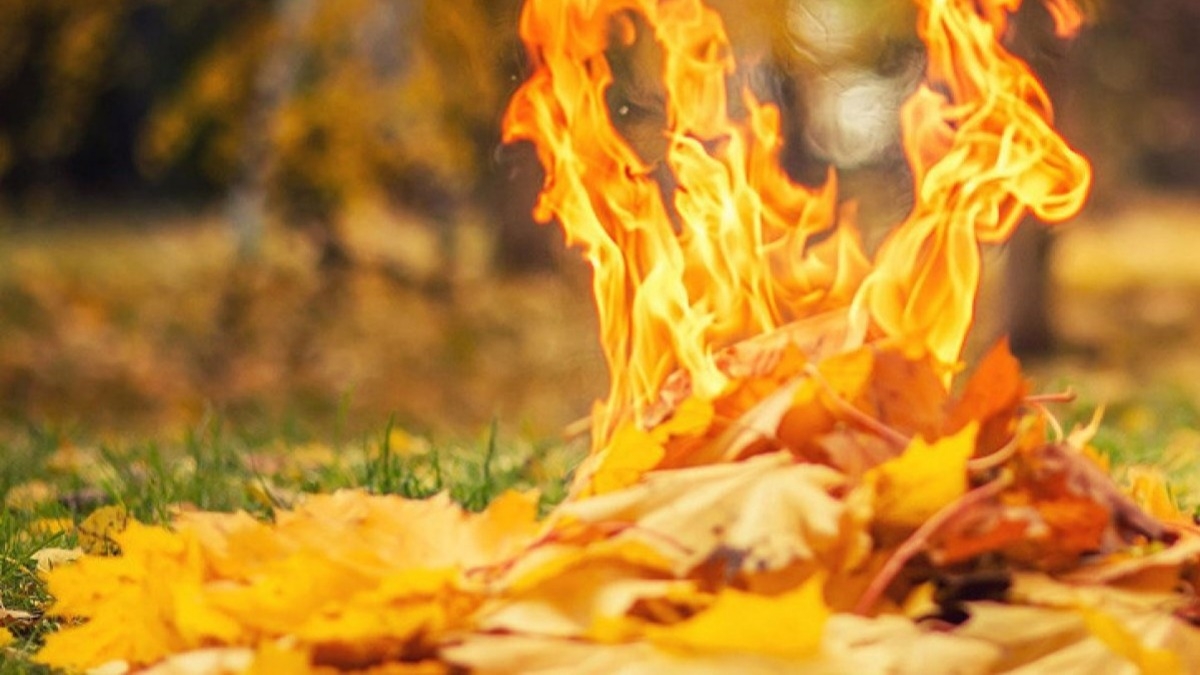 Увидели костер из опавших листьев - вызывайте полицию