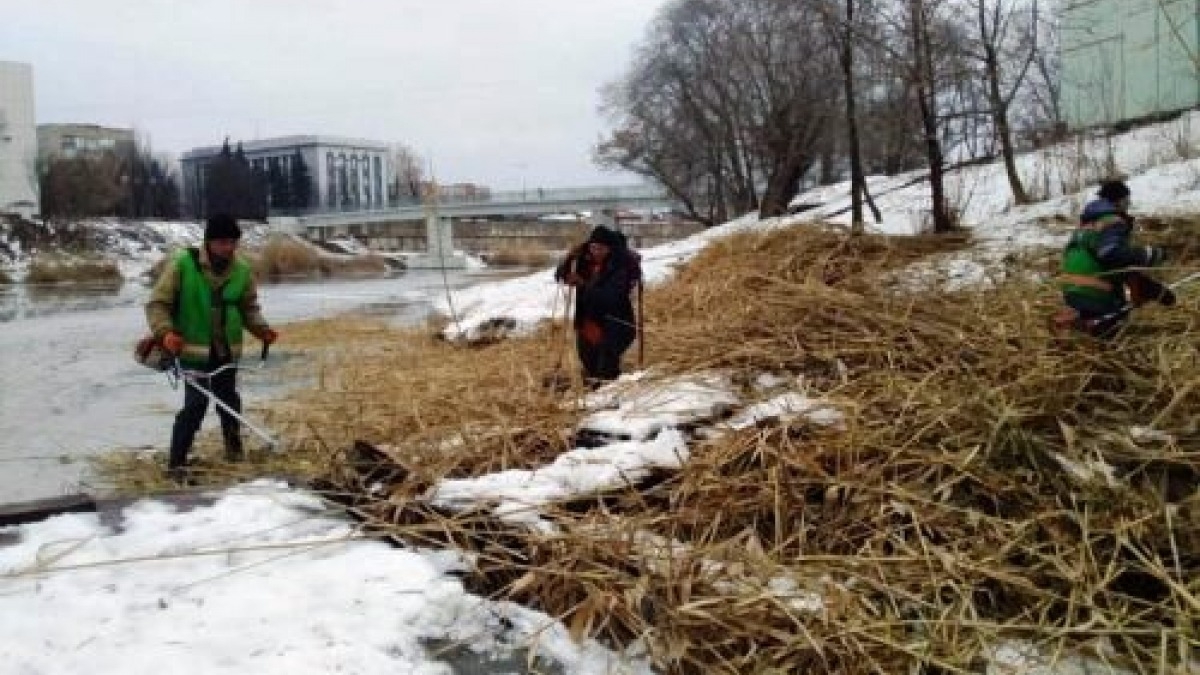 Берега речки Волчья очистили от камыша
