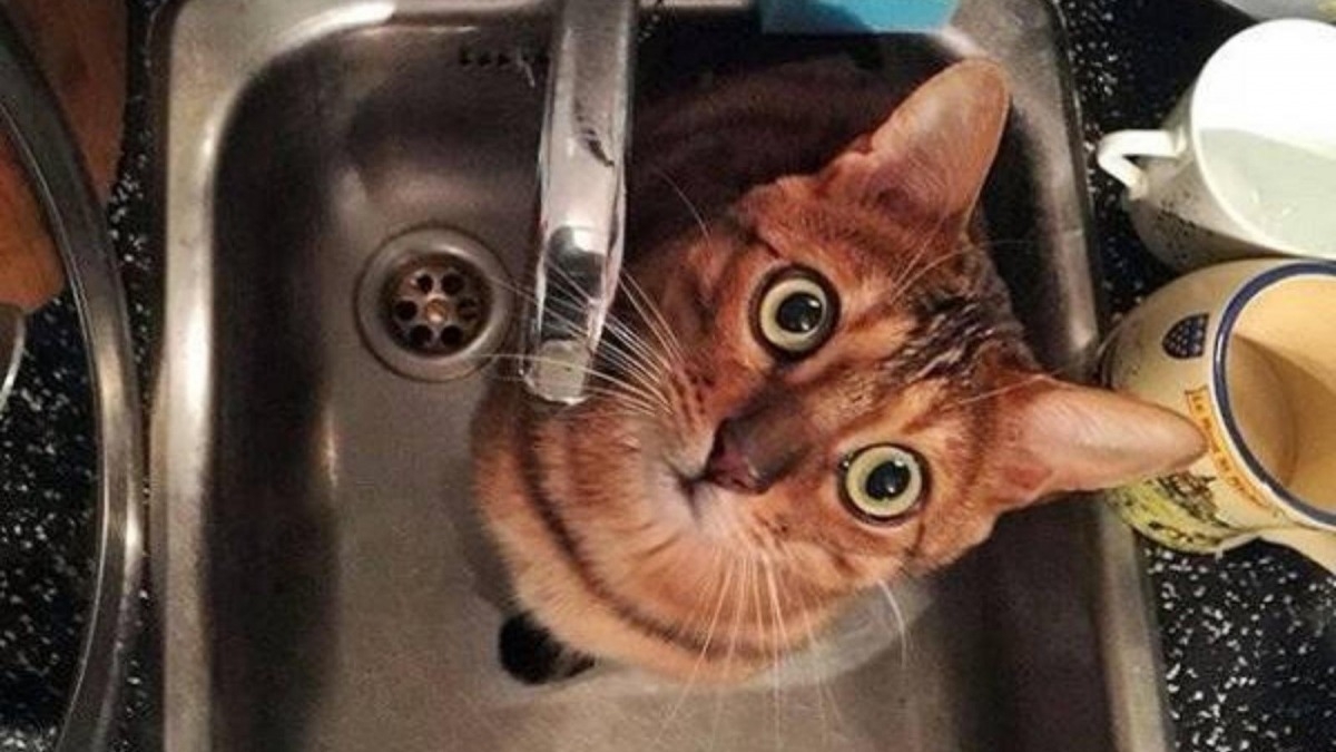 Терновка снова осталась без воды