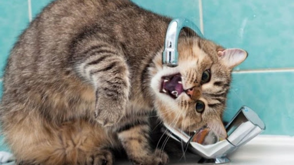 В Павлограде поселок им. 18 сентября остался без воды