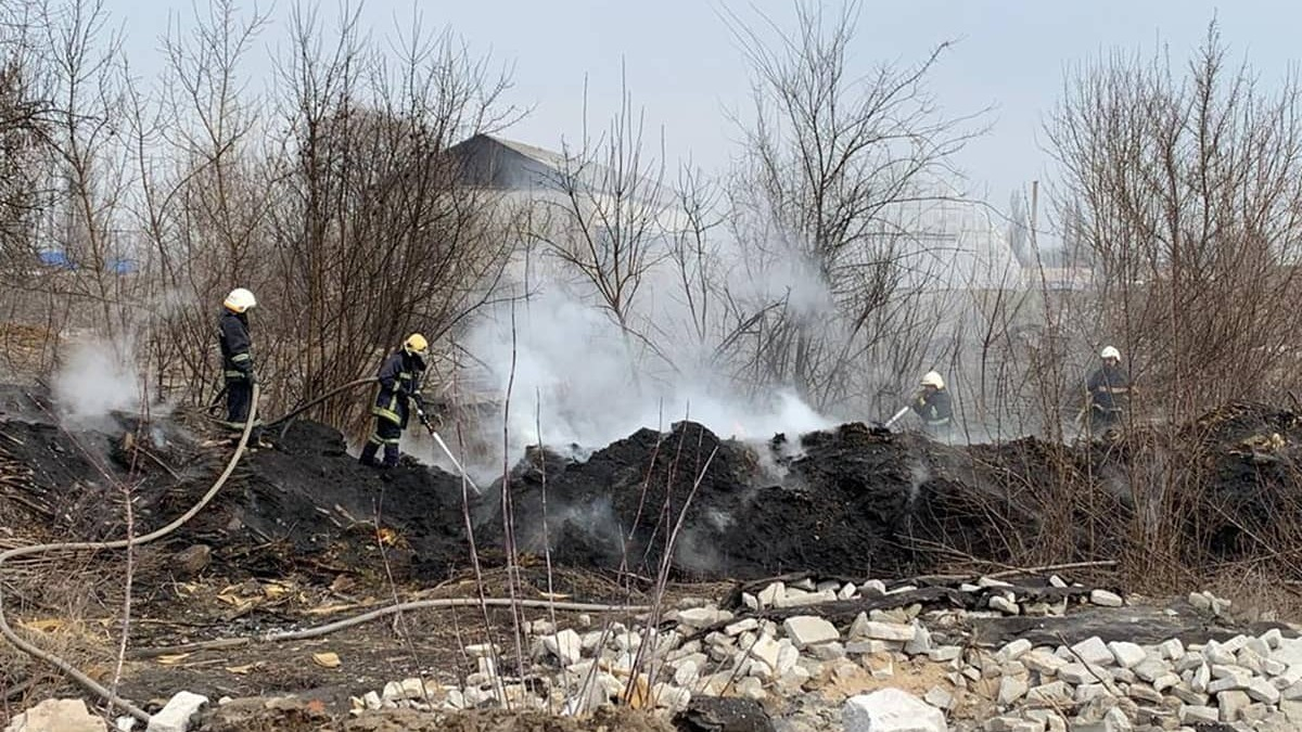 Спасатели Павлограда потушили пожар в экосистеме