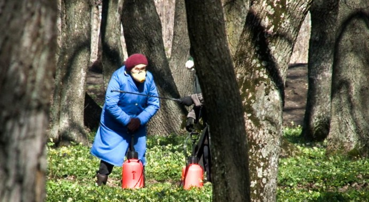 В Павлограде проведут дезинсекцию парков и скверов против клещей