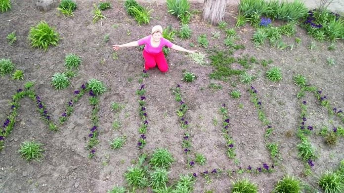 На Павлоградщине мама в честь погибшего сына - бойца АТО высадила аллею