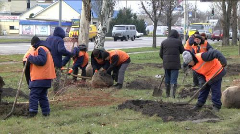 Павлоград озеленят на 180 тысяч гривен