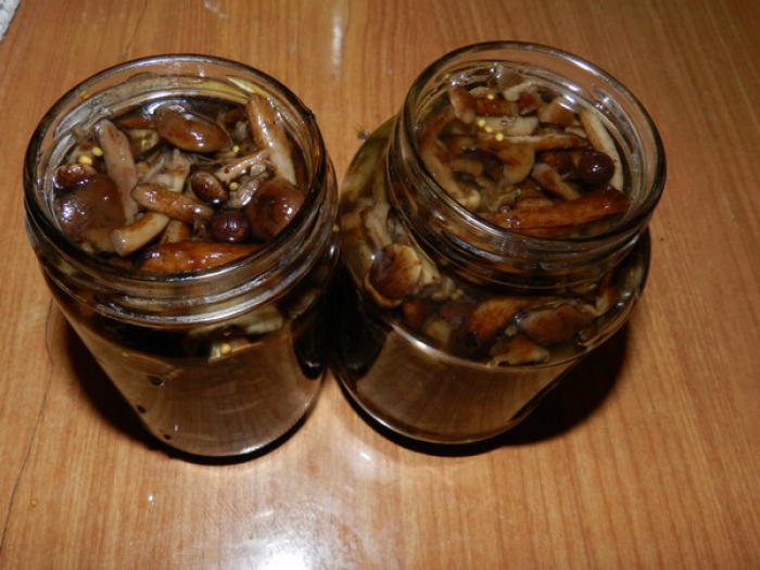 Отравившись грибами, вся семья попала в реанимацию