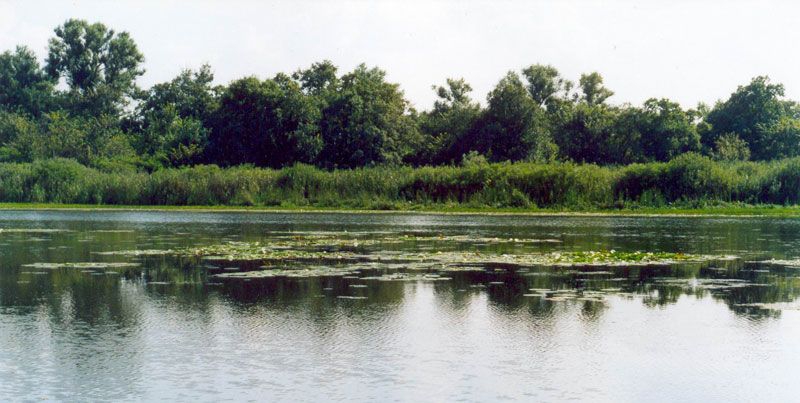  На Днепропетровщине создали ландшафтный заказник Междуречье