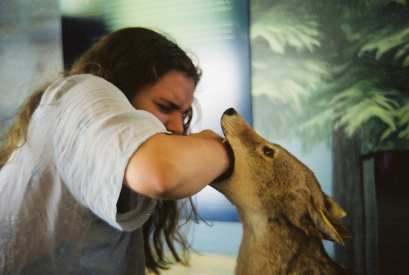 В Павлограде критическая ситуация с вакциной от сказа
