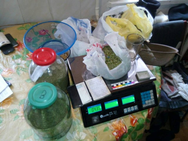 В Павлограде наркофермер занимался выращиванием конопли