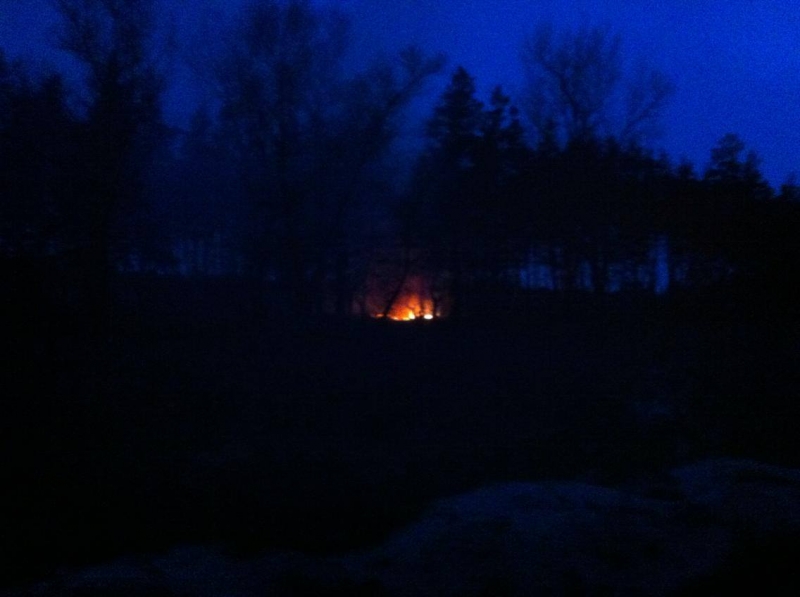 Под Павлоградом горит Богдановский лес