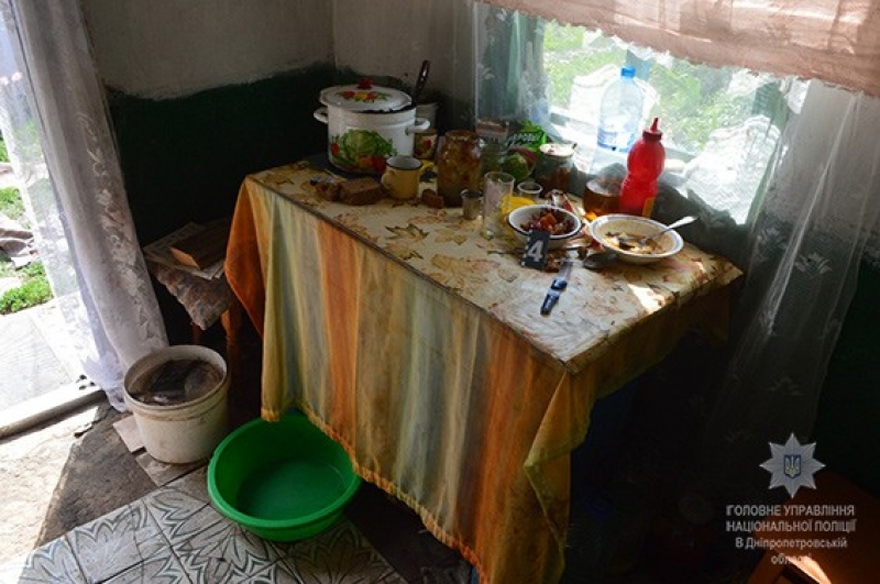 Под Павлоградом дочь вонзила нож в отчима 