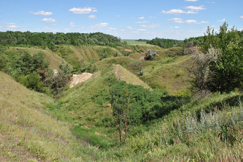 На Павлоградщине откроют новые источники с водой