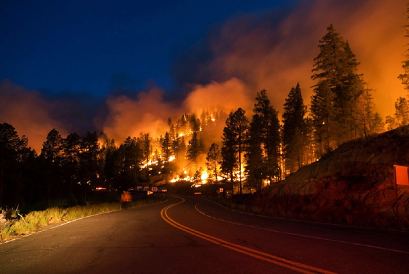 В Днепропетровской области произошло 2844 пожаров