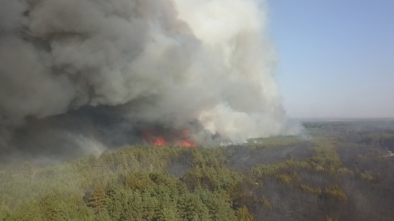 В Павлограде горит 70 гектар леса. Все подробности и эксклюзивное видео 