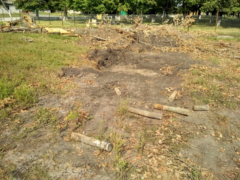 В Павлоградском районе нашли 11 артилерийских снарядов 