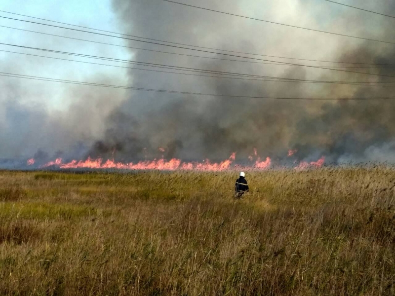 Пожар в Павлограде, огонь уже подходит к птицефабрике