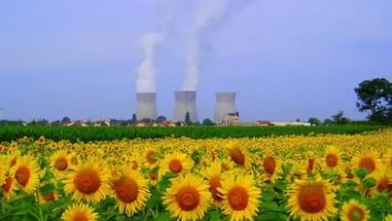 Чем мы дышим? Состояние экологии можно узнать on-line 