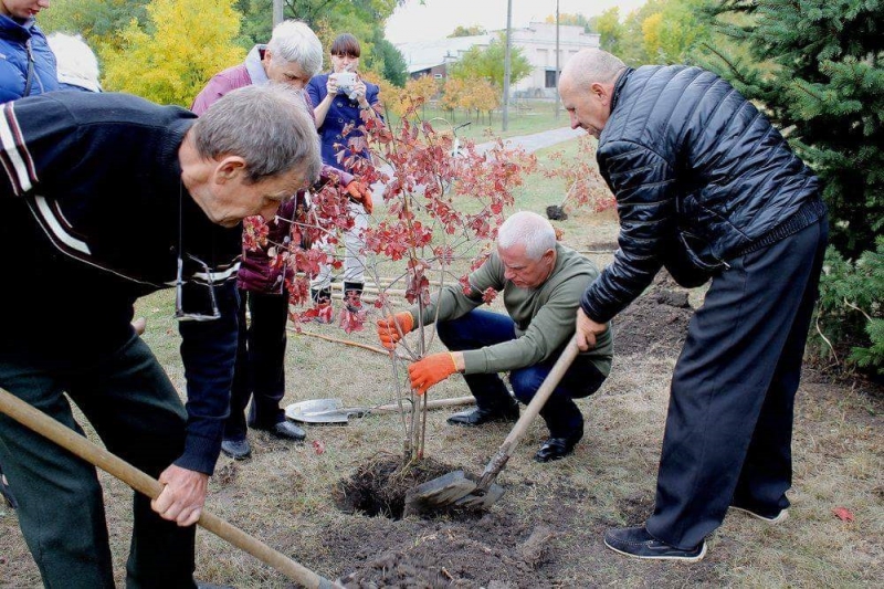 На Аллее героев в Павлограде высадили символы украинской народности 