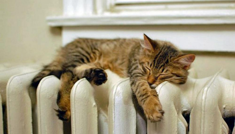 Отопительный сезон стартовал. Оснований для роста цен на тепло - нет 