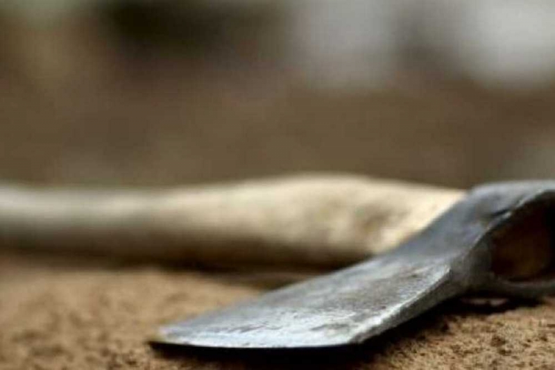 Топором по голове: на Юрьевщине 20-летний парень оказался под стражей