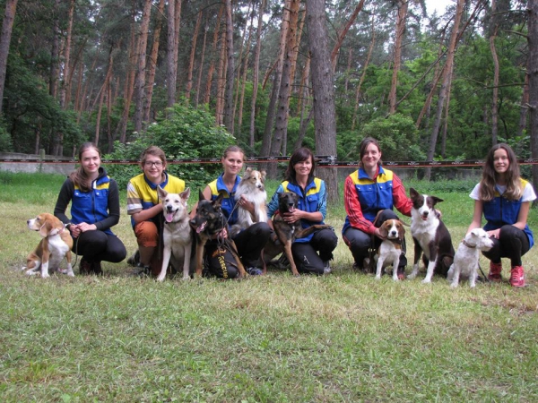 Юные кинологи Павлограда поедут на Чемпионат мира в Словакии