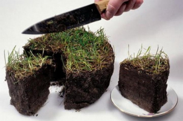 Депутату-коррупционеру удалось избежать ответственности за присвоение земли в Першотравенске