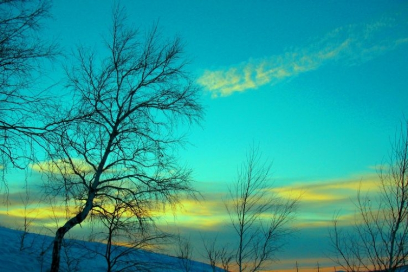 Погода в регионе сегодня обещает хороший урожай