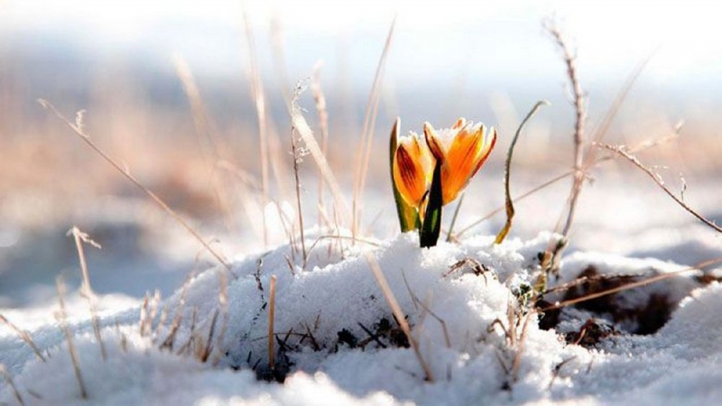 Народный прогноз на 20 марта: этот день подскажет, когда ожидать тепла