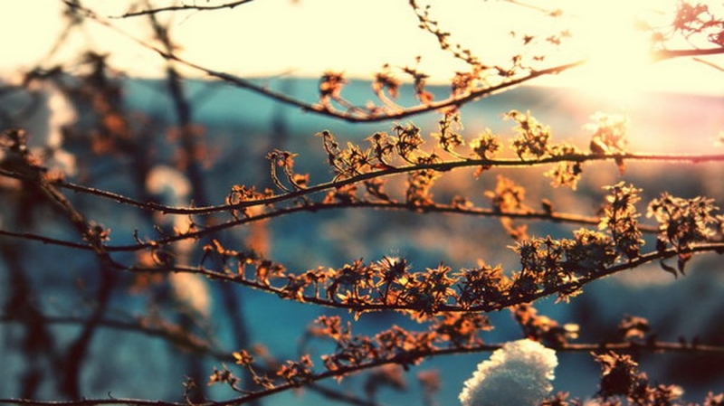 Народные приметы: 29 марта определяли погоду на всю весну