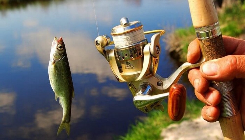 На Днепропетровщине разрешили рыбачить только одной удочкой с берега