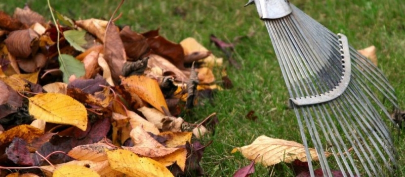 На зарплату подросткам, желающим подзаработать летом, власти Павлограда выделили более 250 тыс. гривен