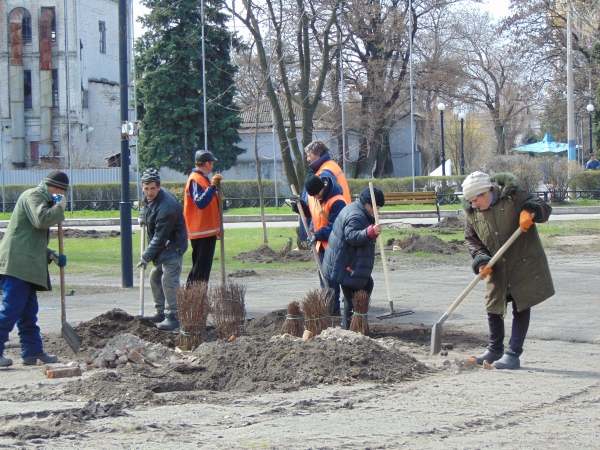 Кто назначен новым руководителем КП «Затишне місто» и почему уволился прежний