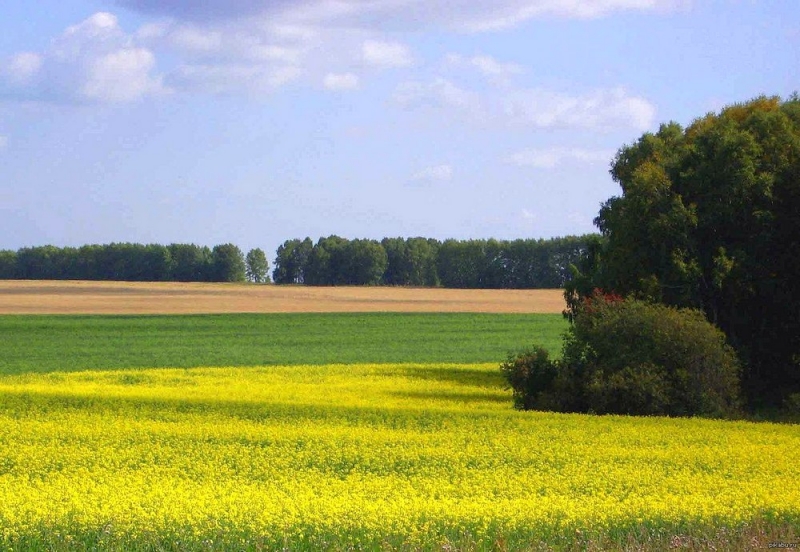 Народные приметы: 19 мая посевными работами занимались только женщины