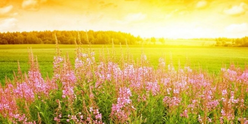 Что преподнесет погода: прогноз на 22 мая для Павлограда