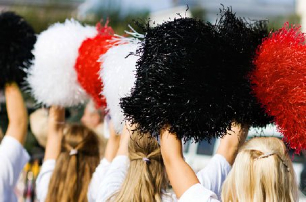 Терновские депутаты создали «спортивную сборную команду»