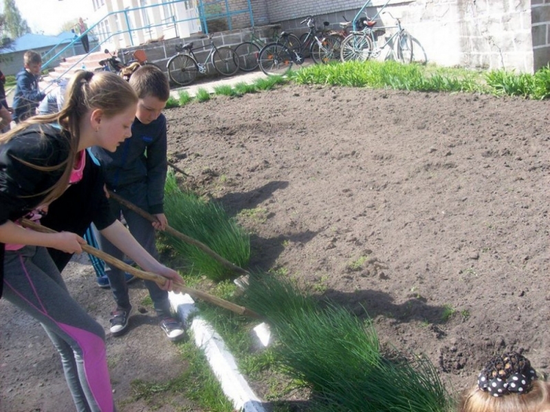 В Павлограде 120 подростков смогут заработать деньги летом