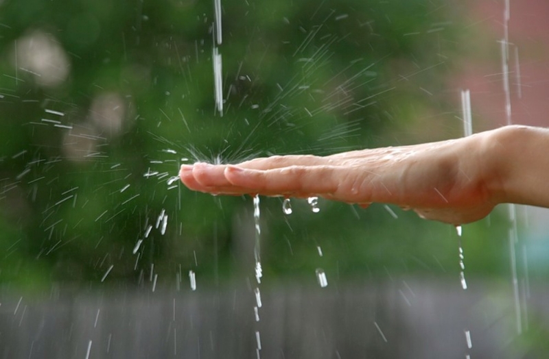 Народные приметы: 24 мая в старину называли мокрым днем