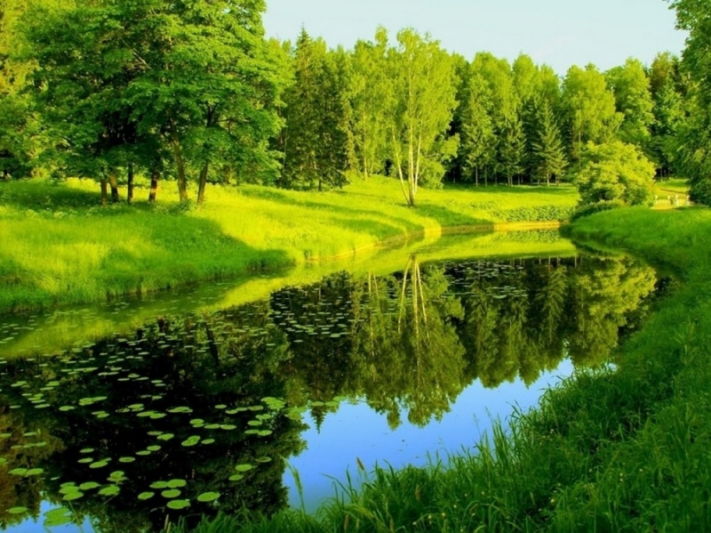 Народные приметы: 27 мая день Сидора-Огуречника