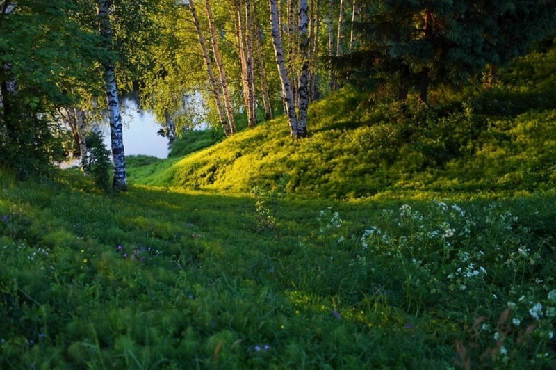 Народные приметы: 28 мая в старину старались не садить ничего, кроме пшеницы