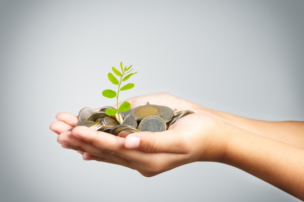 Павлоград рассчитывает получить 22 миллиона на экологию из облбюджета