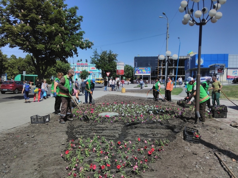 На страже порядка в Павлограде работает «Зеленый патруль»