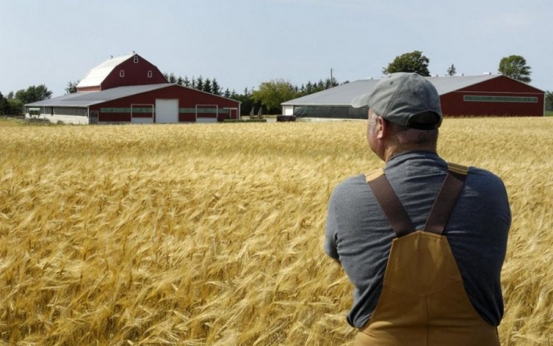 Фермеры Павлоградщины снова могут обращаться в антирейдерский аграрный штаб
